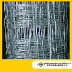 high quality farm fence /knotted cow fence/Hot Sale! prairie fence wire mesh
