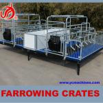 High quality E type galvanized pipe farrowing crates