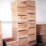 2013 best cheapest decorative beehives