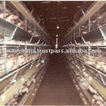 Battery Cages for Chickens