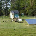 electric poultry fence energiser