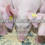 waterproof shockproof rfid pigs ear tag,animal ear tag