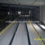 Huabo plastic flooring for chicken farm