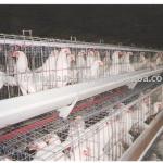 Poultry Feeding Cages