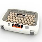 MX-50 egg incubator