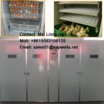Large egg incubator hatching machine,duck egg incubator,cabinet incubator SAF31