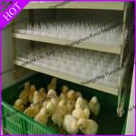 high quality automatic chicken incubator