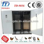 TD-9856 full automatic poultry egg incubator price good