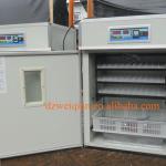 small automatic ostrich egg incubator for hatching eggs