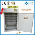 holding 800 eggs chicken egg incubator hatching machine poultry brooder for sale