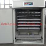 automatic industrial egg incubator as 1000 egg incubator