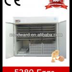 Holding 5000 Eggs Best Price Chicken Egg Incubator Hatchery Machine