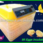 CE Approved Cheap Transparent Automatic egg incubator/mini egg Incubator /96 Eggs Incubator For Sale EW-96A