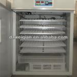 fully automatic small size egg incubator/chicken incubator for sale in chennai(1000eggs)