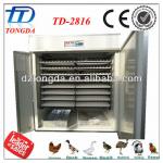 TD-2816 full automatic egg incubator
