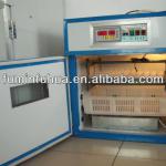 Professional manufacturer of small Egg incubator