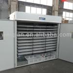 CE approved automatic incubator 5000 chicken eggs/egg incubator/incubator eggs