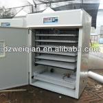 fully automatic solar eggs incubator 1056