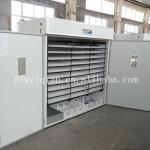 automatic commercial incubator for hatching equipment/hatchery equipment(5000 eggs)
