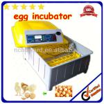 48 eggs Full automatic professional checken incubator for sale