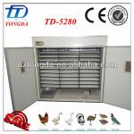Best Price TD-5280 full automatic incubator use for hatching quail eggs