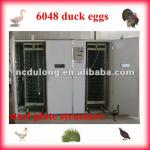 Holding 6048 duck eggs automatic incubator farm poultry equipment for sale