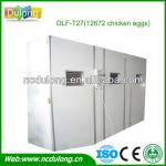 2013 hot selling above 12000 chicken eggs incubation DLF-T27