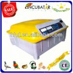 48 eggs newest durable full automatic mini incubator for poultry YZ8-48