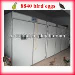 8840 quail eggs quail incubator large egg incubator