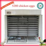 2013 HOT SALE! capacity 5280 chicken eggs Wholesale price CE approved 98% hatching rate duck egg incubator