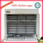Best quality 5280 chicken egg incubator/temperature/humidity controller
