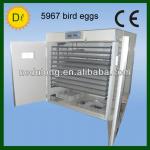 CE Approved capacity 5967 quail eggs 5000 egg incubator