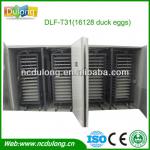 Competitive price DLF-T31 hold 22528 chicken eggs incubators for sale