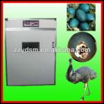 Emu Eggs Incubator / Hatcher fits for Birds and Poultry Eggs