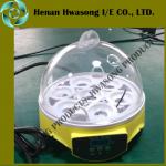 New style mini chicken egg incubator for family use