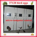 Hot selling cheap good quality 37128 bird eggs large fully automatic industrial egg incubator