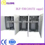 capacity near 20000 eggs automatic cheap solar chicken incubator
