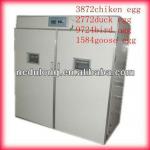 Competitive price capacity 3872 chicken egg incubators middle industrial machine