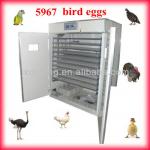 best quality hot sale egg incubator for sale in chennai