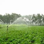 Hot-selling agriculture water sprinkler for irrigation 8.8CP-55