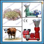 Complete feed pelletizer plant animal feed making