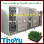 Salable in world THOYU Brand Greenhouse Hydroponic Growing Systems(Mob: +86-13733828553)