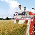 FOTON LOVOL Agricultural Machinery Harvester DG200-