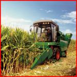 4YZ-3C corn harvester machine-