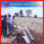 wheat/rice/paddy cutting and bundling machine 0086-13733199089