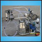 sheep milking machine