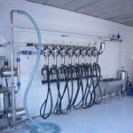 Pipeline milking machine