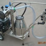 single bucket gasoline portable milking machine for cow