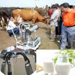 2013 Hot sale portable cow milking machine (008615238693720)
