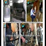 fully automatic portable milking machine for cows for sale